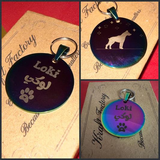 Round Multicolor Pet Tag Large